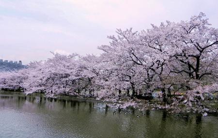 ueno park.jpg, 29kB